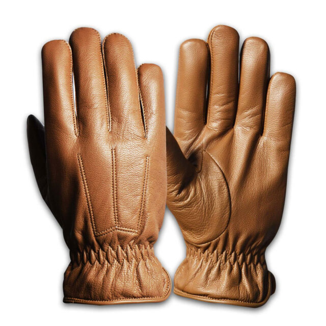 Dressing Gloves